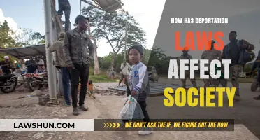 Deportation Laws: Societal Impacts, Family Separation, and Community Resilience