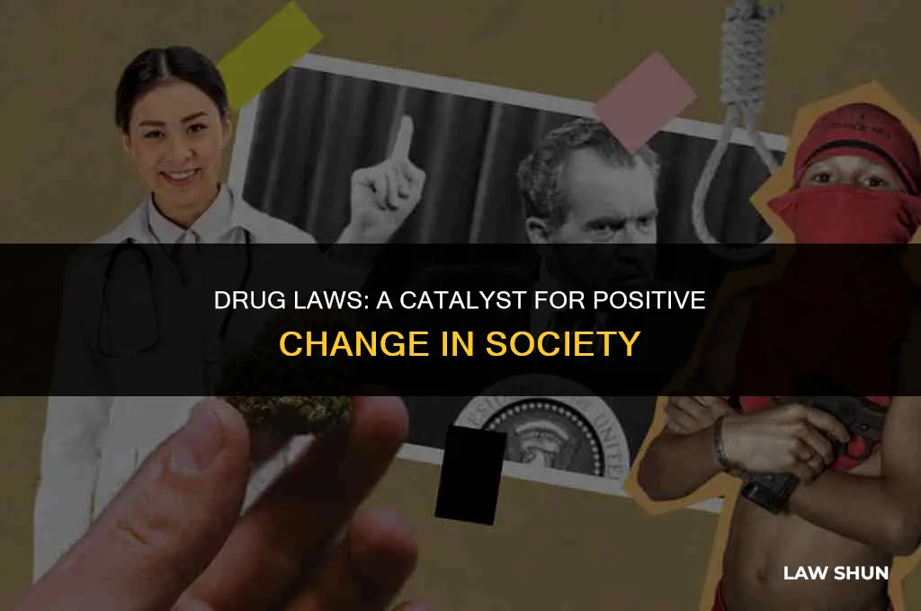 how has drug laws benefit society