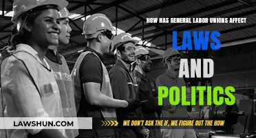 Labor Unions' Impact: Shaping Laws and Political Landscapes Over Time