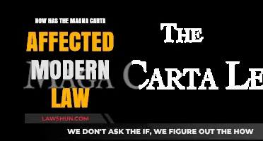 Magna Carta's Legacy: Shaping Modern Law and Justice Today