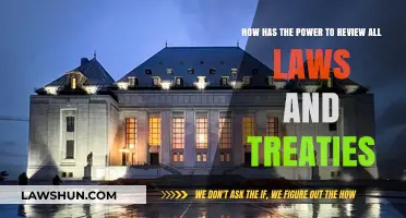 Judicial Authority: The Supreme Court's Power to Review Laws and Treaties