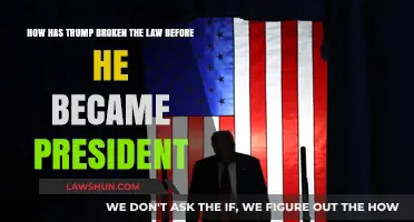 Trump's Pre-Presidency Legal Troubles: Allegations and Controversies Explored