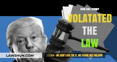 Trump's Turbulent Tenure: A Legal Landscape in Flux