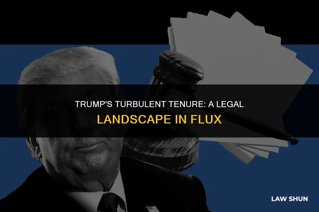 how has trump volatated the law