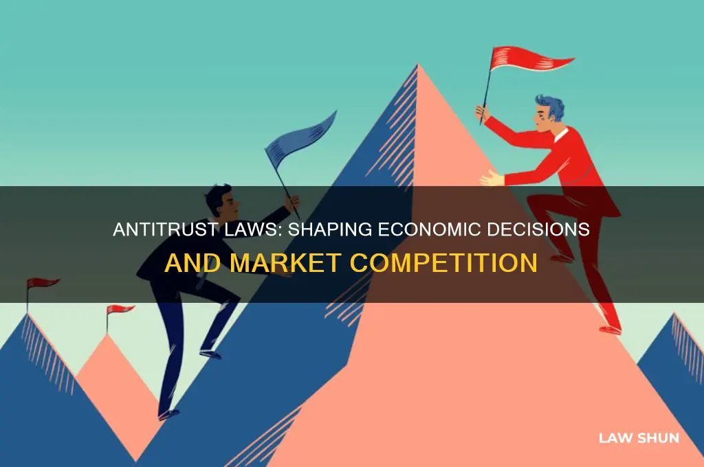 how have anti-trust laws impacted your economic decisions