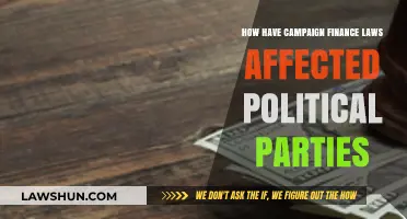 Campaign Finance Laws: Shaping Political Parties' Strategies and Power Dynamics
