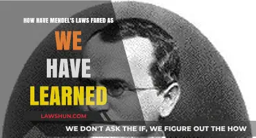 Mendel's Laws: Enduring Legacy or Evolving Understanding in Modern Genetics?