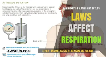Dalton's, Henry's, and Boyle's Laws: Unraveling Their Impact on Respiration