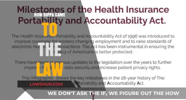 The Genesis of HIPAA: A Legislative Journey to Protect Patient Privacy