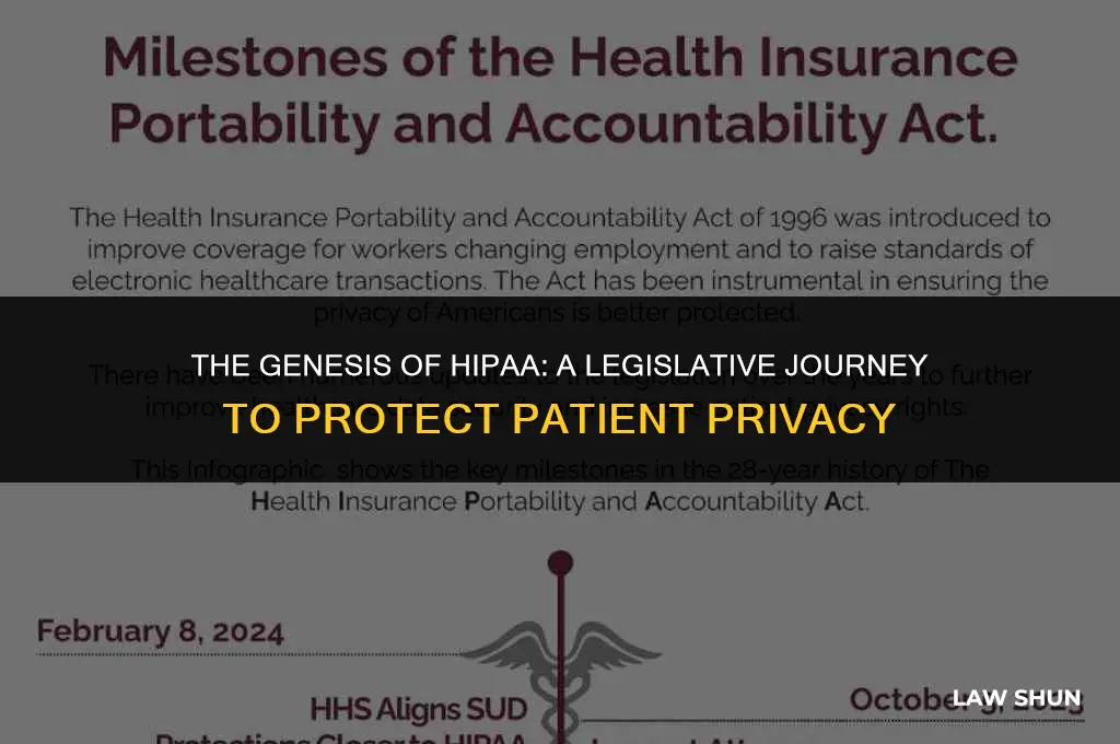 how hippa came to the law