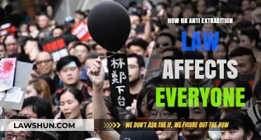 HK's Anti-Extradition Law: Global Impact and Personal Consequences Explained