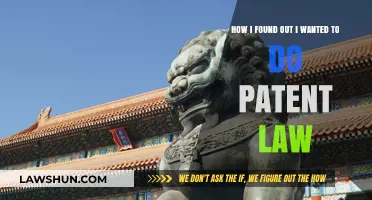 From Curiosity to Career: My Journey into Patent Law