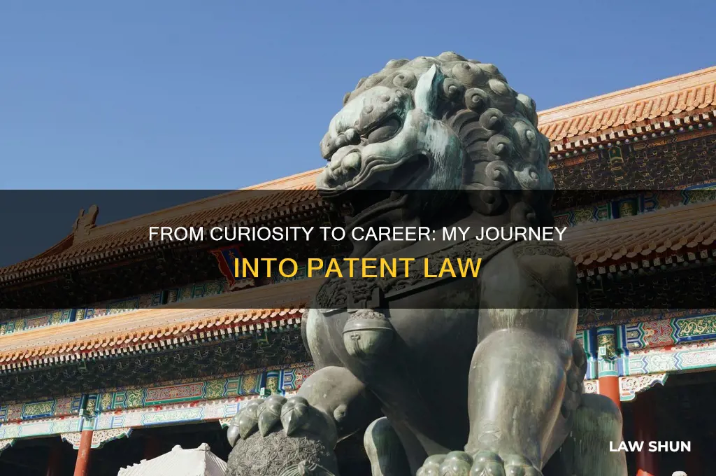 how i found out i wanted to do patent law