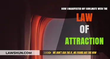 Manifesting Love: My Soulmate Journey with the Law of Attraction