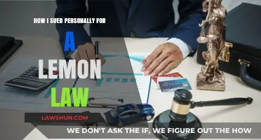 My Lemon Law Battle: How I Sued Personally for Justice