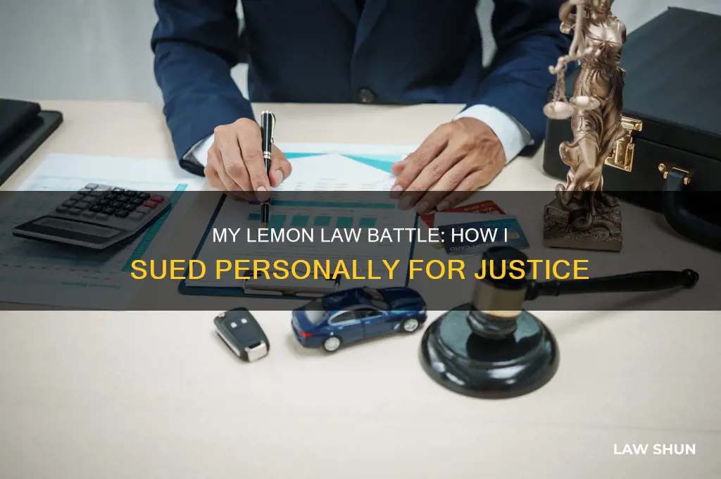 how i sued personally for a lemon law