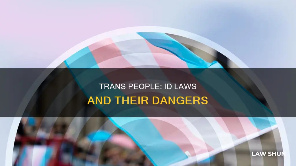 how id laws can put trans people in danger