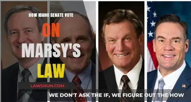 Idaho Senate's Decision on Marsy's Law: A Detailed Analysis