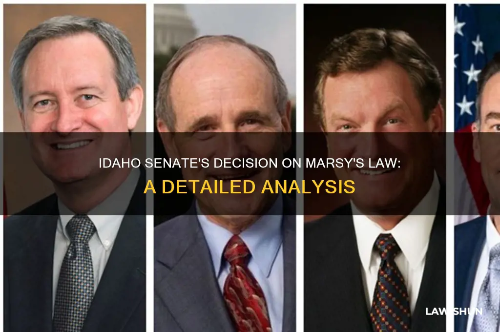how idaho senate vote on marsy