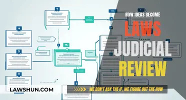 Ideas to Laws: Judicial Review's Impact