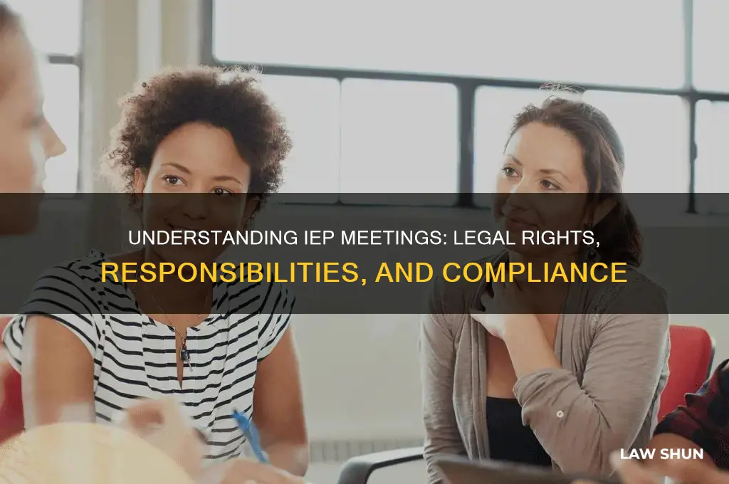 how iep meetings relate to the law