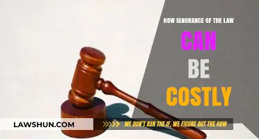 Ignorance of the Law: Costly Missteps and How to Avoid Them