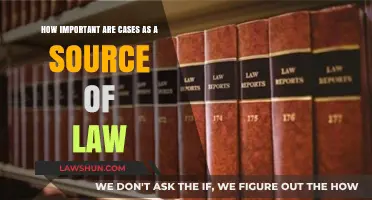 Cases as Law: Vital Sources of Dynamic Legal Systems