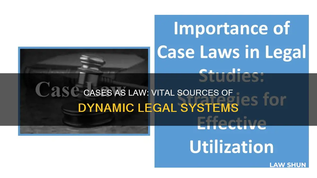 how important are cases as a source of law