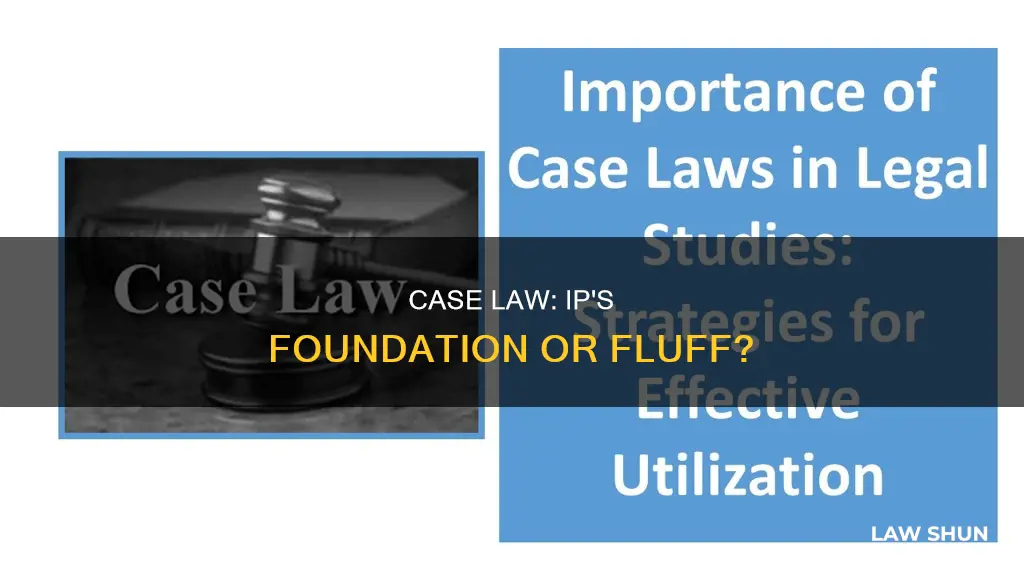 how important is case law in ip