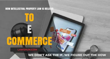 Intellectual Property Law and E-Commerce: Protecting Digital Assets Online