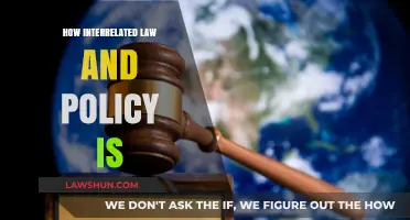 The Intricate Dance: How Law and Policy Shape Each Other