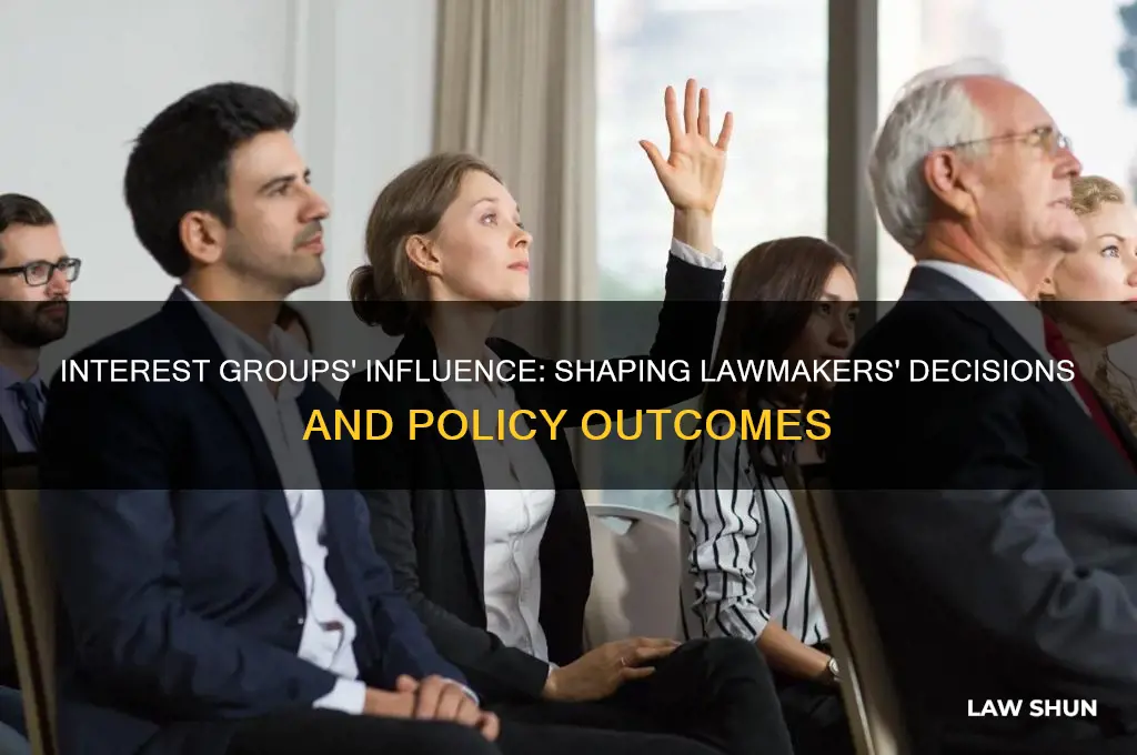 how intrestt group affect the law makers
