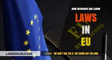 EU Labor Laws: Balancing Worker Rights and Business Freedom