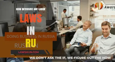 Labor Laws in Russia: Balancing Worker Rights and Business Interests