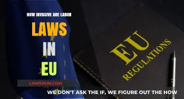 EU Labor Laws: Balancing Worker Rights and Business Interests