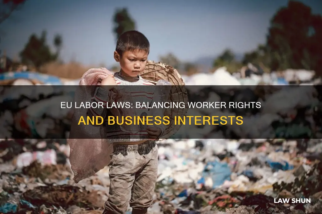 how invasive are labor laws in eu