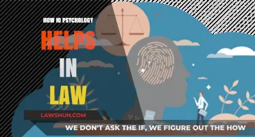 Exploring the Intersection of I/O Psychology and Legal Practice