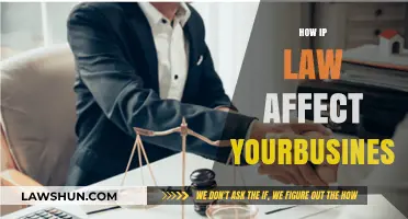 How Intellectual Property Law Impacts Your Business Growth and Protection