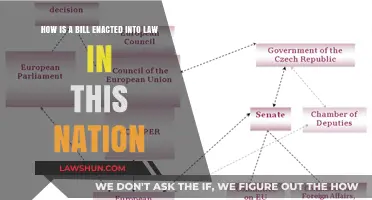 From Proposal to Law: Understanding the Legislative Process in Our Nation