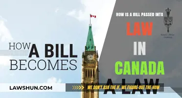 The Process of Passing Canadian Bills into Law