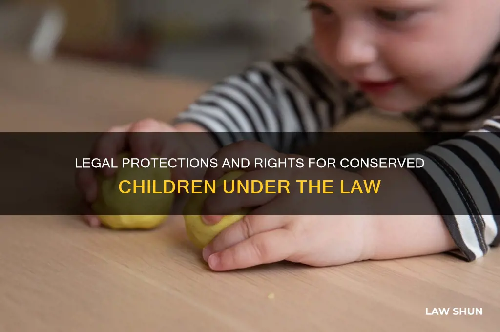 how is a child who is conserve treated under law