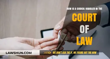 Understanding Codicils: Legal Handling and Court Procedures Explained