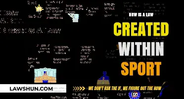Sports Law: How Rules Become Law