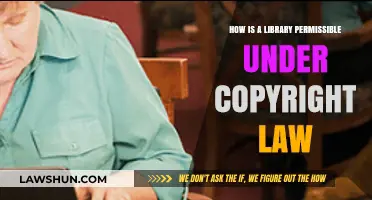 Libraries and Copyright Law: Understanding Permissible Use of Protected Works