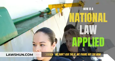 Applying National Law: A Comprehensive Guide