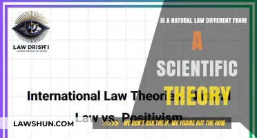 Natural Laws vs Theories: What's the Difference?