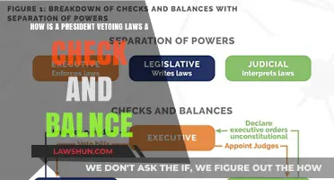 Presidential Veto Power: A Key Mechanism in Checks and Balances