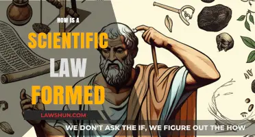 The Genesis of Scientific Laws: A Journey from Observation to Theory