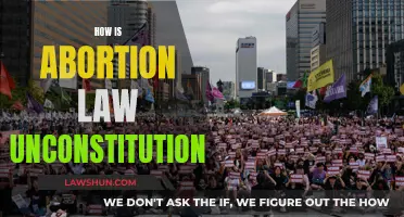 Abortion Law: Unconstitutional and Unjust