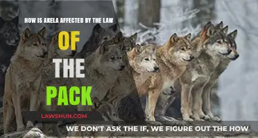 Akela's Leadership: Navigating the Law of the Pack's Impact